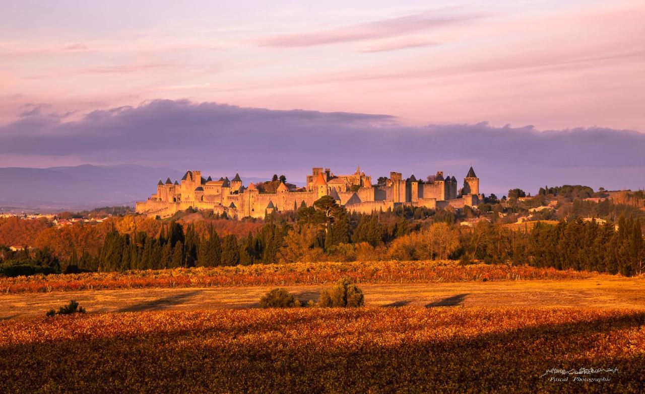 Residence Alpha Centauri Carcassonne Eksteriør bilde